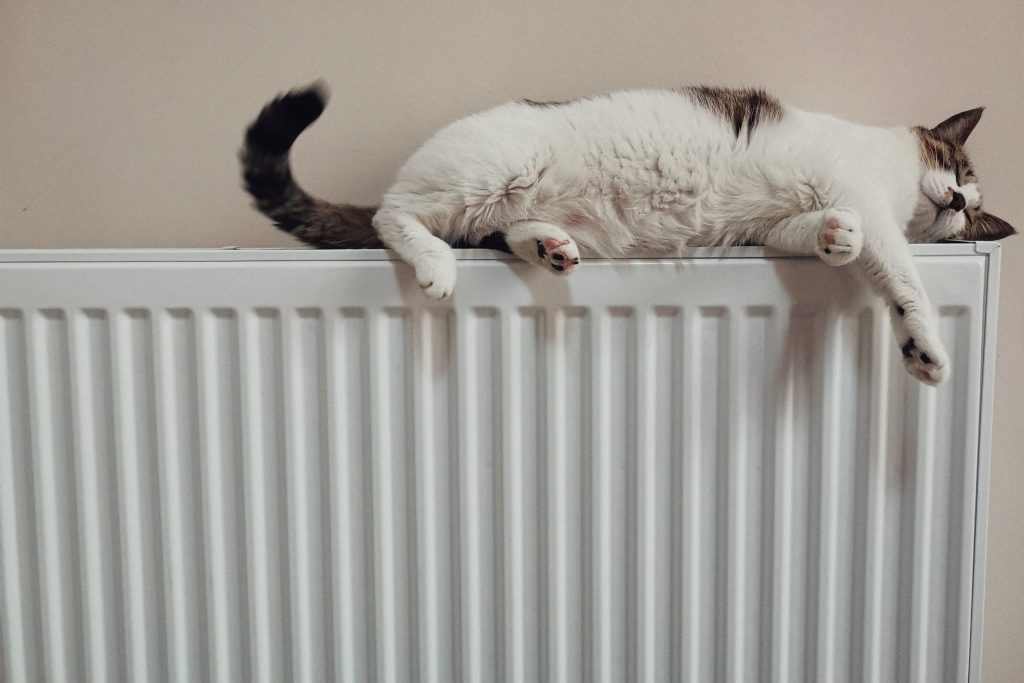 Radiator